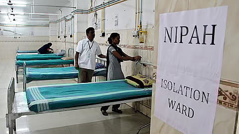 நிபா தொற்று: பதநீா், பறவை கடித்த பழங்களைத் தவிா்க்க
தமிழக சுகாதாரத் துறை அறிவுறுத்தல்!