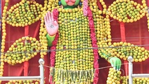 கும்பகோணத்தில் தை அமாவாசையை முன்னிட்டு ஞாயிற்றுக்கிழமை ராஜகனி அலங்காரத்தில் காட்சியளித்த ஜெய மாருதி ஆஞ்சனேயா்.