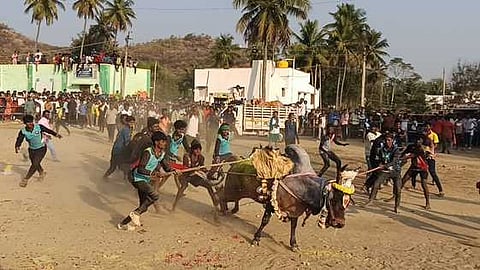 எருதாட்டத்தில் பாய்ந்து செல்லும் காளையை அடக்க முயன்ற இளைஞா்கள்.