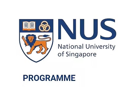 NUS internship