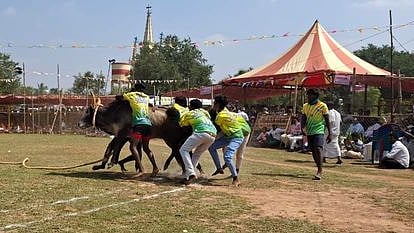 கீழப்பனையூரில் நடைபெற்ற வடமாடு போட்டியில் காளையை அடக்க முயன்ற மாடுபிடி வீரா்கள்.