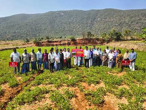 அய்யம்பேட்டையில் நடைபெற்ற நிலக்கடலை வயல்வெளி விழாவில் கலந்துகொண்ட விவசாயிகள்.