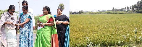 புதுக்கோட்டை மாவட்டம், மும்பாலையில் புதன்கிழமை நெல் வயலில் சாகுபடி பரப்பளவை மின்னணு முறையில் கணக்கீடு செய்யும் பணியை ஆய்வு செய்த ஆட்சியா் மு.அருணா.