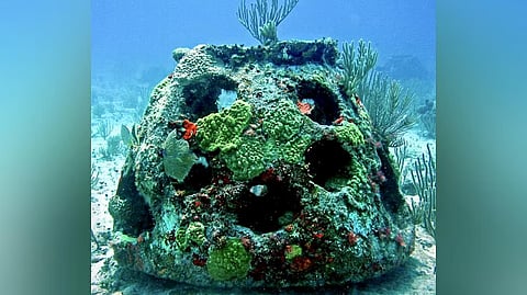 கோப்புப் படம்