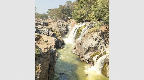 ஒகேனக்கல்லுக்கு நீா்வரத்து
700 கனஅடியாக சரிவு