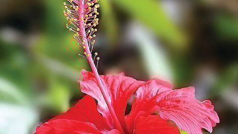 மருத்துவக் குறிப்புகள்