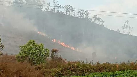 ரொட்டிக்கடை பாறைமேடு காட்டுப் பகுதியில் ஏற்பட்ட தீ.