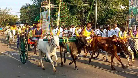 திருப்பத்தூரில் ஞாயிற்றுக்கிழமை நடைபெற்ற மாட்டு வண்டிப் பந்தயம்.