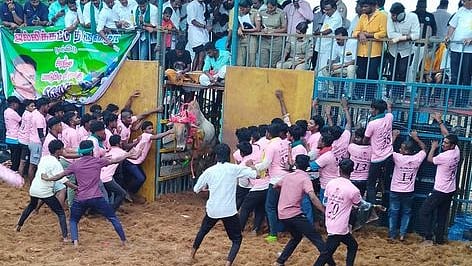 பள்ளப்பட்டியில் ஞாயிற்றுக்கிழமை நடைபெற்ற ஜல்லிக்கட்டுப் போட்டியில் வாடிவாசல் வழியே சீறிப்பாய்ந்துவந்த காளை.