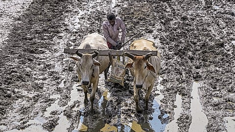 கோப்புப் படம்