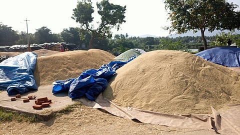 வத்திராயிருப்பில் உள்ள நெல் உலா் களம்.