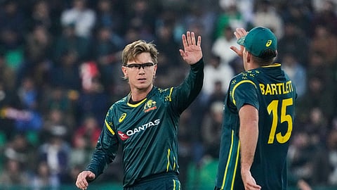 Adam Zampa expressed his joy after taking a wicket.