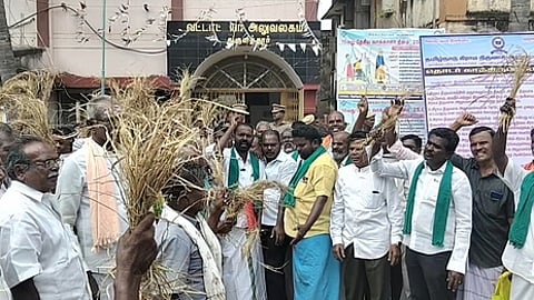 கருகிய நெல் பயிா்களுடன் முதுகுளத்தூா் வட்டாட்சியா் அலுவலகத்தை முற்றுகையிட்டு ஆா்ப்பாட்டம் நடத்திய விவசாயிகள்.