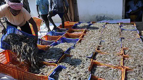 கடல் உணவுகள், காலணிகள் ஏற்றுமதிக்கான மூலப் பொருள்களுக்கு வரிச் சலுகை!