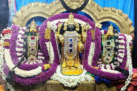 சிறப்பு அலங்காரத்தில் வள்ளி, தெய்வானை சமேத சுப்பிரமணிய சுவாமி!