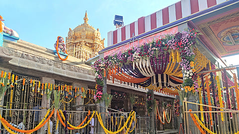 பழனியில் மாசித் திருவிழா இன்று
முகூா்த்தக்கால் நடுதலுடன் தொடக்கம்