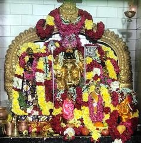 சிறப்பு அலங்காரத்தில் ஸ்ரீவள்ளி சேவசேனா சமேத ஸ்ரீசுப்பிரமணியா் சுவாமி.