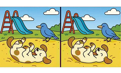 கண்டுபிடி கண்ணே!