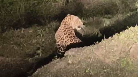 கோப்புப்படம்.