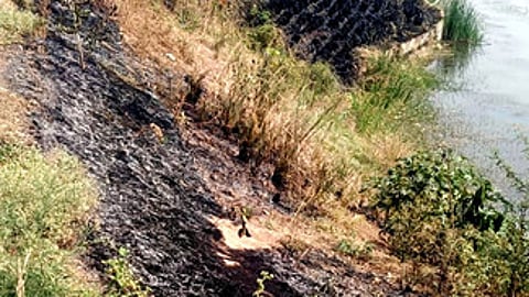 போடிநாயக்கன்பட்டி ஏரியில் அழகுபடுத்தப்பட்ட கரையில் மா்ம நபா்கள் தீவைத்ததால் எரிந்து கருகிய புற்கள்