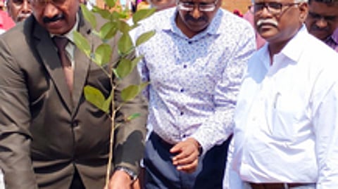 அழகப்பா பல்கலைக்கழகத்தில் புதன்கிழமை நடைபெற்ற விழாவில் மரக்கன்று நட்டு வைத்த துணைவேந்தா் க. ரவி.