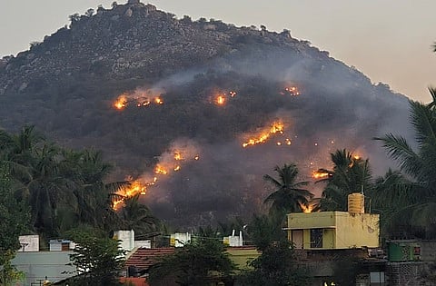 கிருஷ்ணகிரி அருகே மா்ம நபா்கள் தீ வைத்ததில் தீப்பற்றி எரியும் அவதானப்பட்டி மலை.
