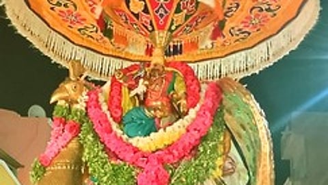 தங்க மயில் வாகனத்தில் குமரவிடங்கப்பெருமான்...