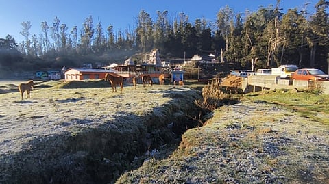 உதகையில் பூஜ்ஜிய டிகிரி வெப்பநிலை