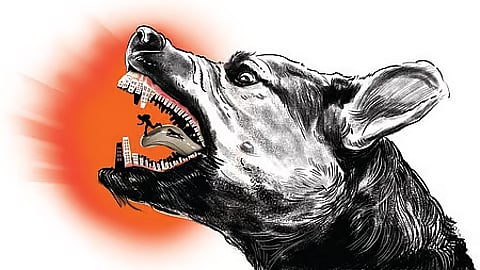 கோப்புப் படம்