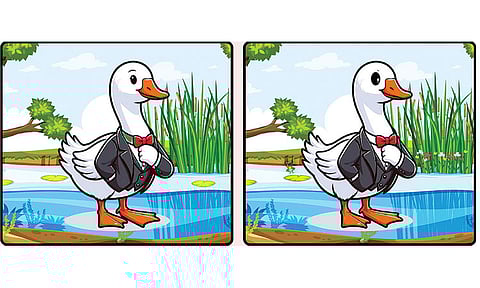 கண்டுபிடி கண்ணே!