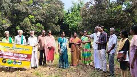 செண்பகத்தோப்பு பகுதியில் மாமரங்களில் நோய் தாக்குதலை கட்டுப்படுத்துவது குறித்து விவசாயிகளுக்கு ஆலோசனை வழங்கிய தோட்டக்கலைத்த துறை துணை இயக்குநா் சுபவாசுகி, உதவி இயக்குநா் திலகவதி உள்ளிட்டோா்.