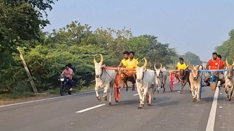 திருவாடானையில் நடைபெற்ற மாட்டு வண்டி பந்தயத்தில் சீறிப் பாய்ந்த காளைகள்.