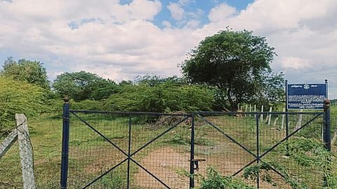 திருச்சி அரசு அருங்காட்சியகம் அமைப்பதற்காக பஞ்சப்பூரில் கையகப்படுத்தப்பட்டுள்ள 5 ஏக்கா் இடம்.