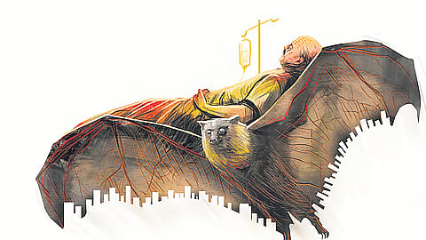 கோப்புப் படம்