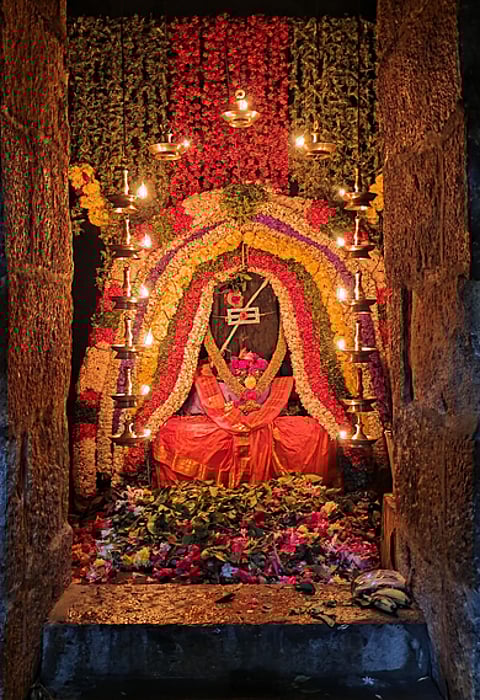 மகா சிவராத்திரியையொட்டி சிறப்பு அலங்காரத்தில் அருள்பாலித்த நன்செய் இடையாறு திருவேலீஸ்வரா்.