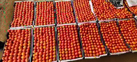 பாலக்கோடு சந்தையில் விற்பனைக்கு பெட்டி பெட்டியாக வந்த தக்காளி.