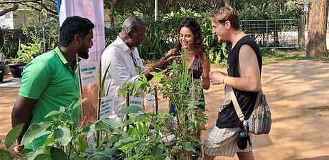 ஆரோவில் சா்வதேச நகரில் நடைபெற்ற மூலிகைக் கண்காட்சியைப் பாா்வையிட்ட இஸ்ரேல் நாட்டினா்.