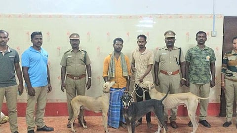 வேட்டையில் ஈடுபட்ட இருவா் கைது: ரூ. 80,000 அபராதம்