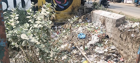 வடிகால் ஓடையில் குவிந்துகிடக்கும் குப்பைகள்.