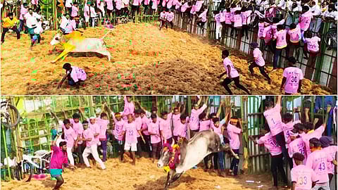 பொன்னமராவதி அருகே சிவராத்திரி விழாவையொட்டி நடைபெறும் ஜல்லிக்கட்டுப் போட்டி...