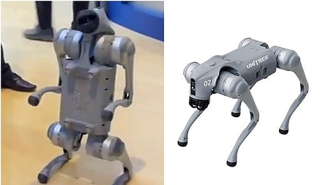 ஏஐ உச்சி மாநாட்டில் காட்சிப் படுத்தப்பட்ட ரோபோ நாய்.