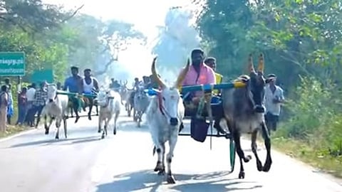 சொக்கநாதபுரத்தில் நடைபெற்ற மாட்டு வண்டி பந்தயத்தில் எல்லையை நோக்கிப் பாய்ந்து சென்ற காளைகள்