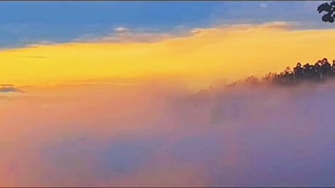 கொடைக்கானலில் பகுதியில் உருவான மஞ்சள் மேகமூட்டம்