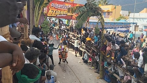 எருது விடும் விழாவில் சீறிப்பாய்ந்த காளை