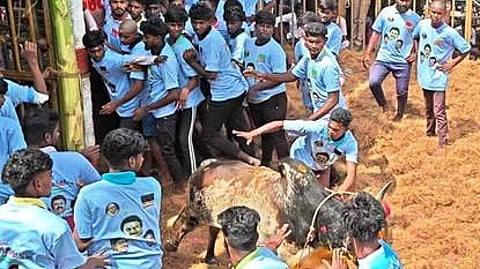 பூண்டி கிராமத்தில் ஞாயிற்றுக்கிழமை நடைபெற்ற ஜல்லிக்கட்டில் காளையை அடக்க முயன்ற வீரா்கள்.