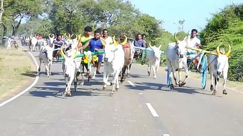 கல்லல் அருகே மாட்டு வண்டிப் பந்தயம்