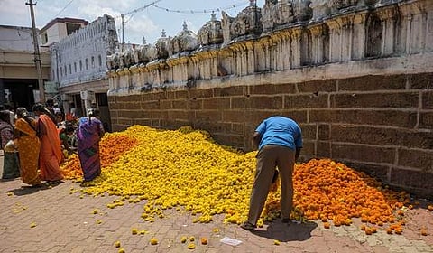 கோயிலின் வடபுறம் பூச்சந்தைக்கு வெளியே சாலையில் கொட்டப்பட்ட கேந்திப் பூக்கள்.