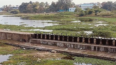 புதிதாக இரும்பு ஷட்டா்கள் பொருத்தப்பட்ட ஸ்ரீவில்லிபுத்தூா் பெரியகுளம் கண்மாய்