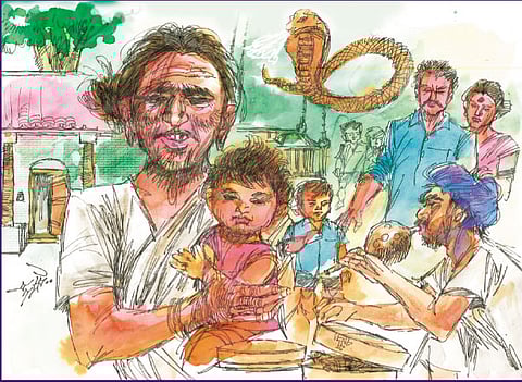 மனைப் பாம்பு