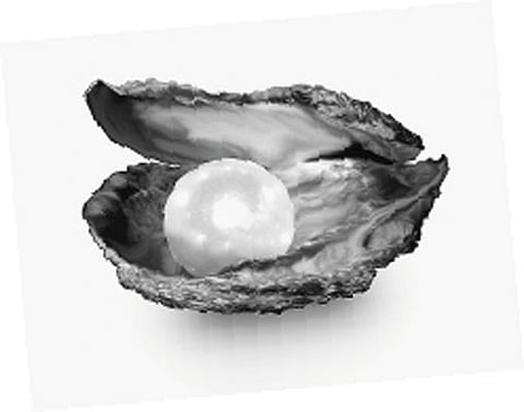 முத்துச் சிப்பி